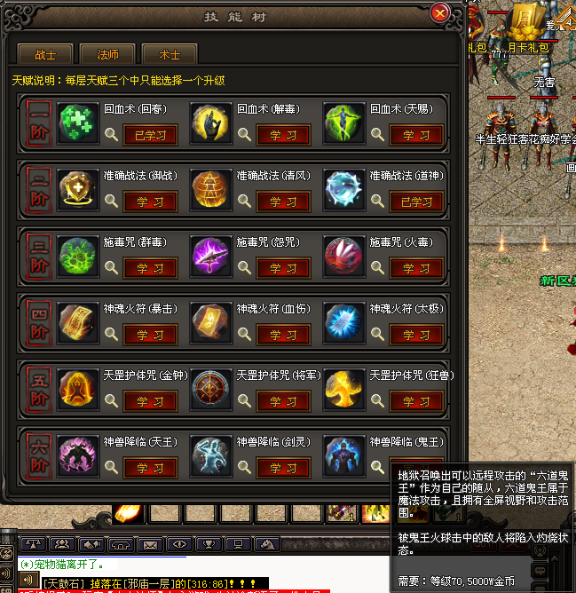 【新区加开】在线达865，百种宠物附带专属技能、魔兽天赋树