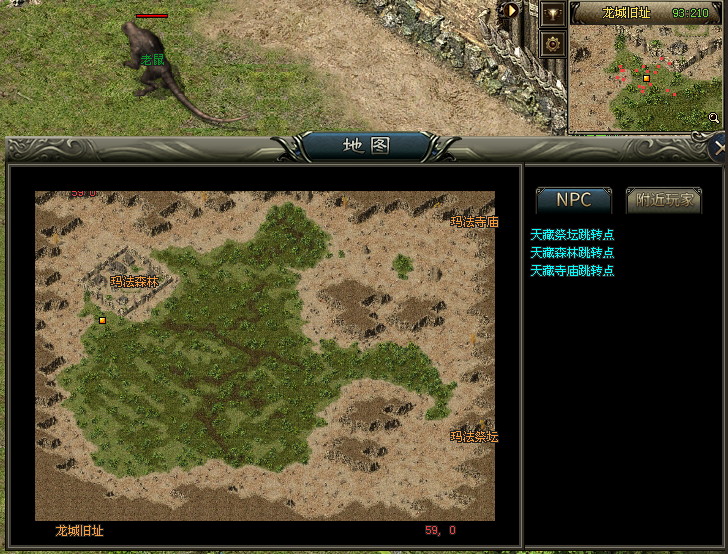 【西游传1区】88代金券直购888充值，飞仙版，自研专属，追梦大服，千种专属